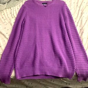 Zara Man Knitted Purple Long Sleeve Sweater